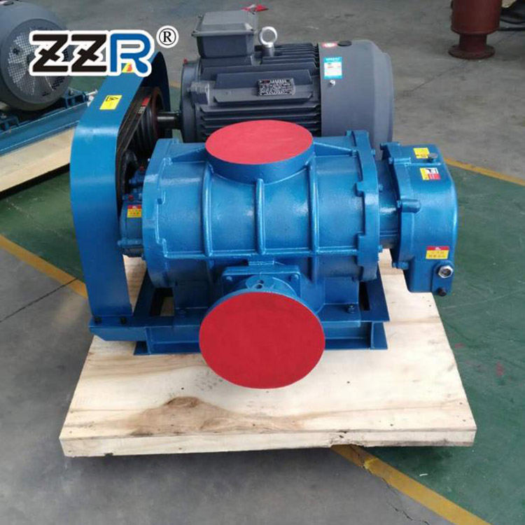 ZZR100型三叶罗茨鼓风机 罗茨风机真空泵 型号齐全 可定制