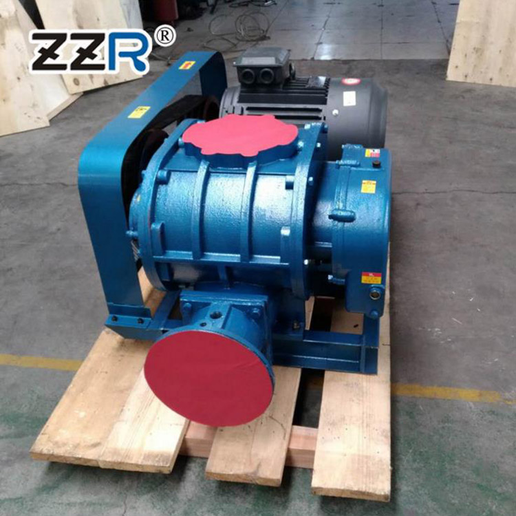 ZZR100型三叶罗茨鼓风机 罗茨真空泵 型号齐全 可定制