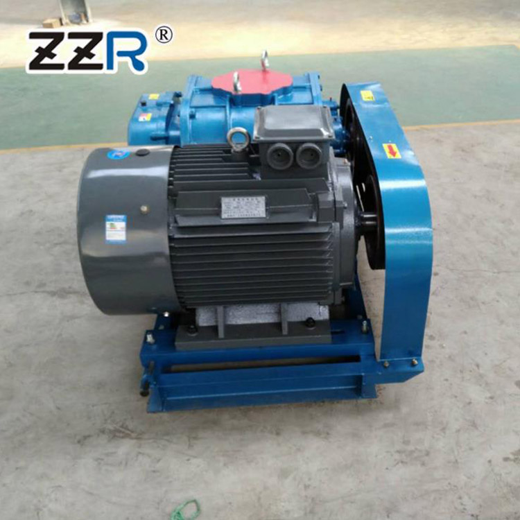 ZZR100型三叶罗茨鼓风机 负压风机 型号齐全 可定制