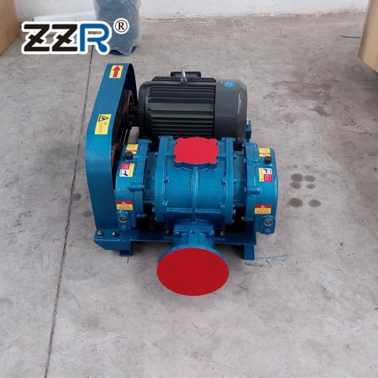 ZZR100型三叶罗茨鼓风机 罗茨风机真空泵 型号齐全 可定制