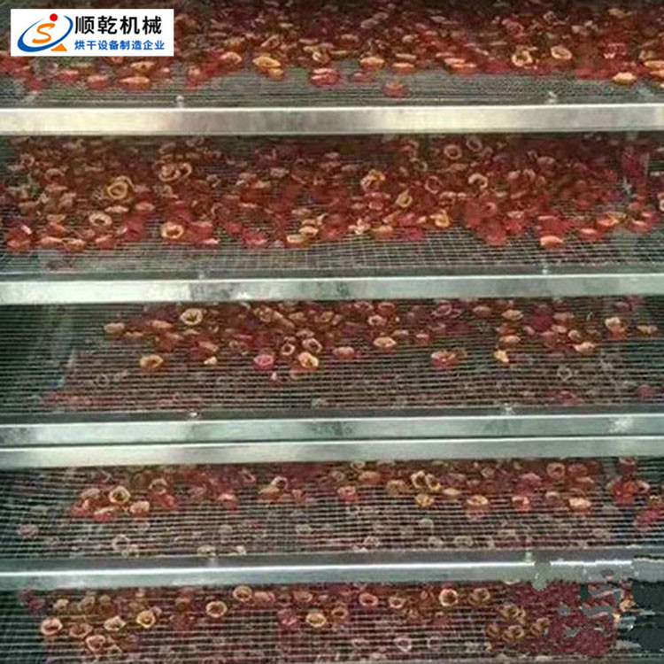 顺乾不锈钢自动干燥设备 果脯农副产品烘干 非标定制