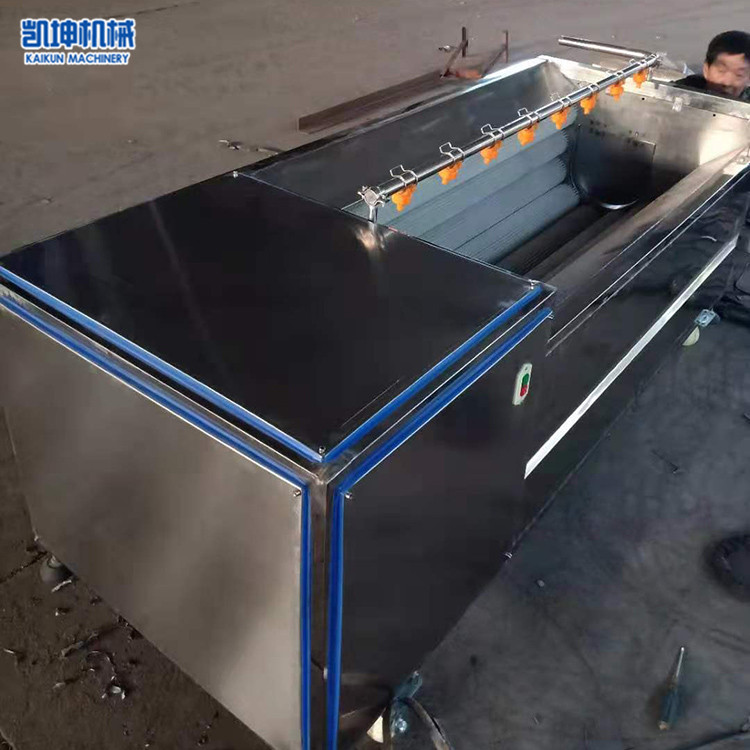 根茎类果蔬清洗机 不锈钢毛辊清洗机 凯坤 型号尺寸均可定制