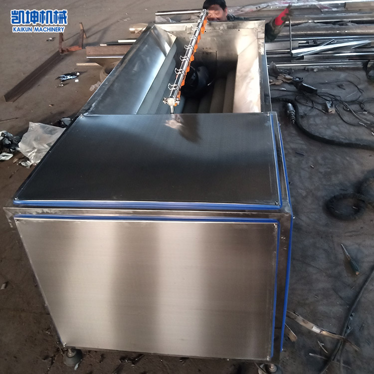 根茎类果蔬清洗机 水果蔬菜气泡清洗机 凯坤 型号尺寸均可定制