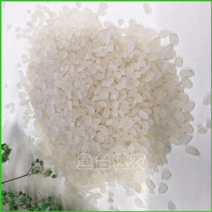 大米 珍珠米 员工福利团购礼品 量大优惠