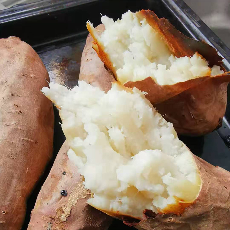 新鲜糖心农家蜜薯地瓜新鲜现挖现发烟署25