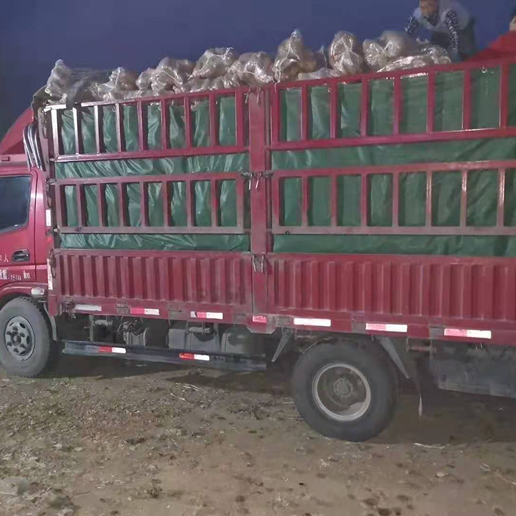 地直销 天然炭烤红薯地瓜 缸烤地瓜沙地小烟薯 新鲜红薯批发