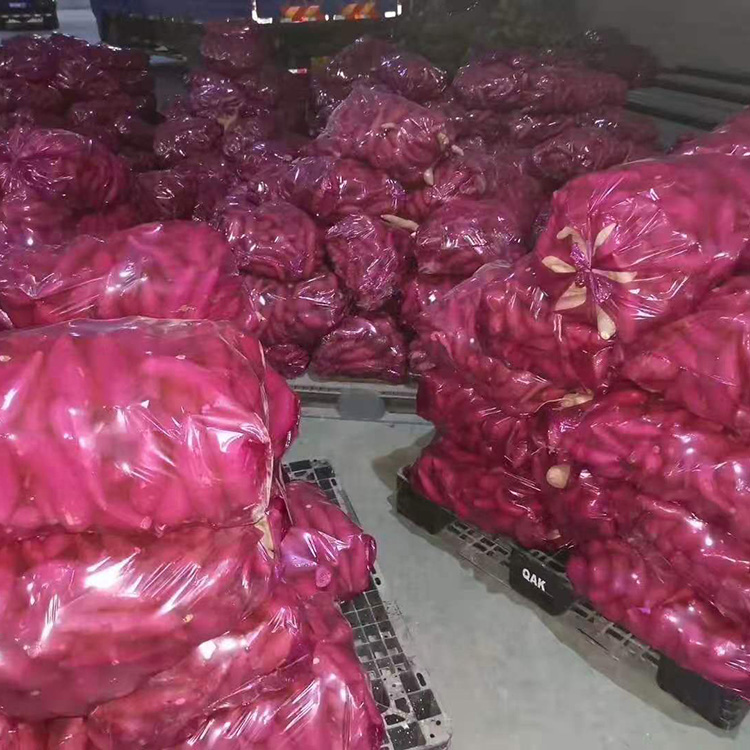 地直销 天然炭烤红薯地瓜 缸烤地瓜沙地小烟薯 新鲜红薯批发