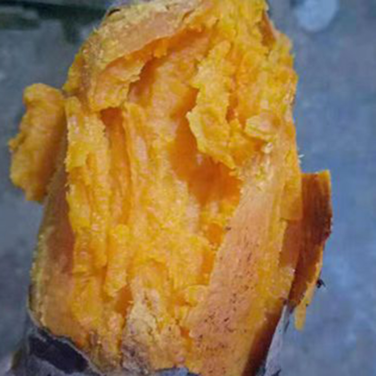 新鲜糖心农家蜜薯地瓜新鲜现挖现发烟署25
