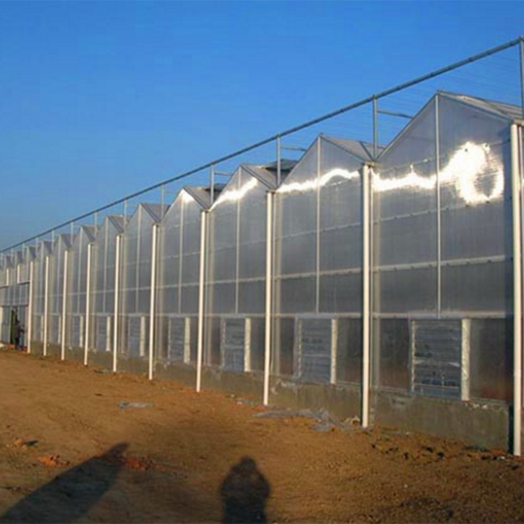 阳光板温室大棚 工程造价  温室大棚建造厂家