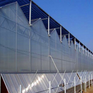 阳光板温室大棚 工程造价  温室大棚建造厂家