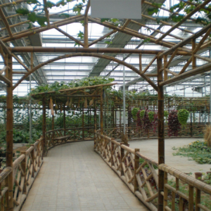 山东生态温室搭建厂家 多功能生态温室安装搭建 柏科阿姆农业