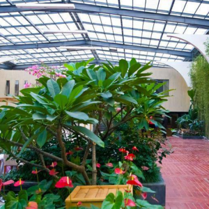 山东生态温室搭建厂家 多功能生态温室安装搭建 柏科阿姆农业