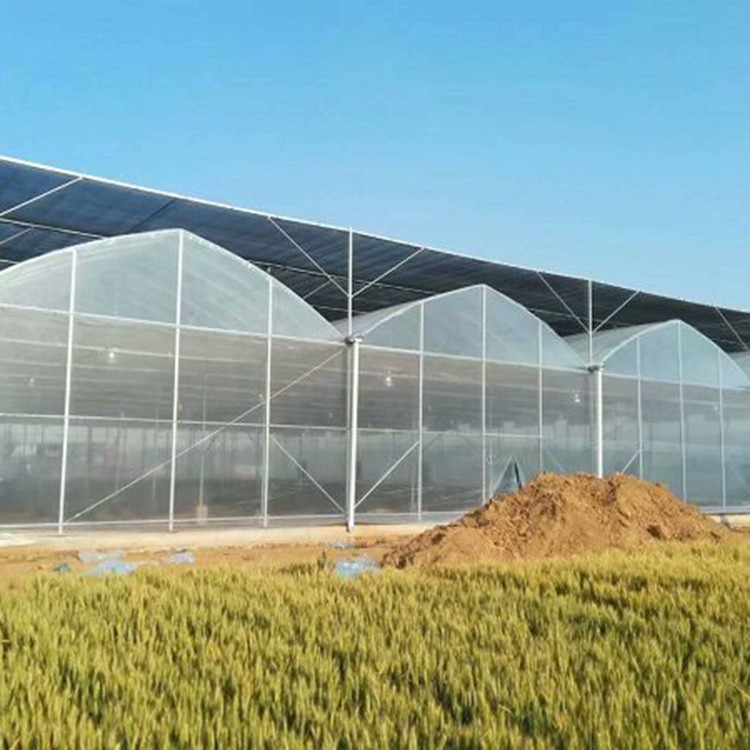 建造连栋温室 扩建连栋温室大棚 温室蔬菜大棚