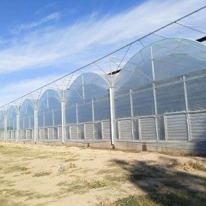 建造连栋温室 扩建连栋温室大棚 温室蔬菜大棚