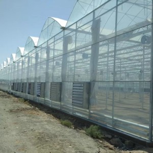 建造连栋温室 扩建连栋温室大棚 温室蔬菜大棚