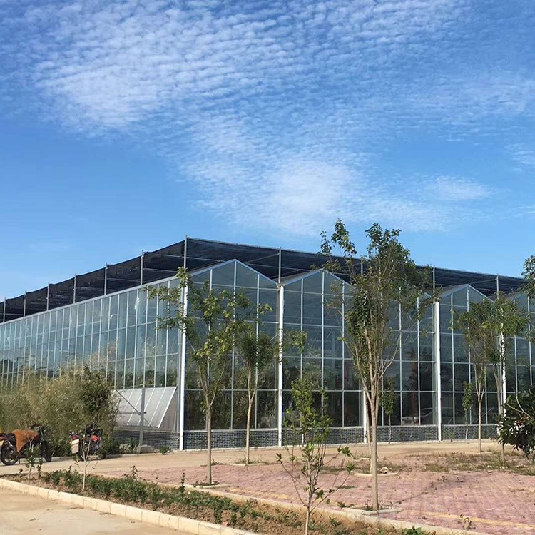 玻璃温室 冬暖式玻璃温室大棚 建造玻璃温室大棚