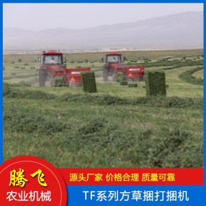 牧草圆捆机 麦稻牧草打捆机 秸秆捡拾打捆机 方草捆打捆机 打捆机 腾飞打捆机 山东打捆机厂家 打捆机价格 腾飞农业机械