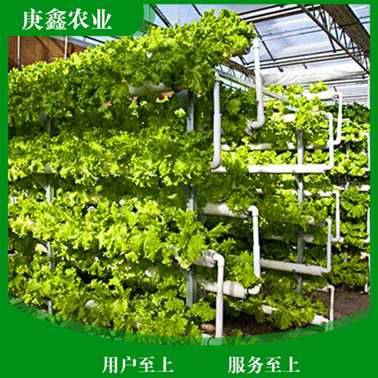 厂家安装绿色温室景观 温室景观大棚供应 厂家销售