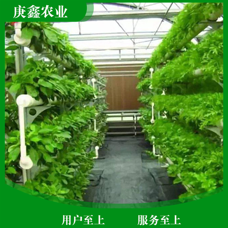 厂家安装绿色温室景观 温室景观大棚供应 厂家销售