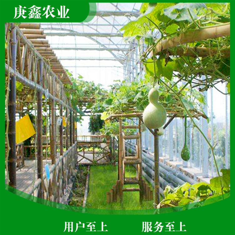 厂家安装绿色温室景观 温室景观大棚供应 厂家销售