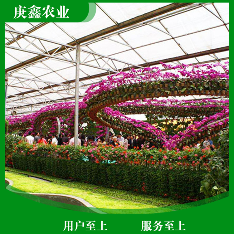 厂家安装绿色温室景观 温室景观植物 支持选购