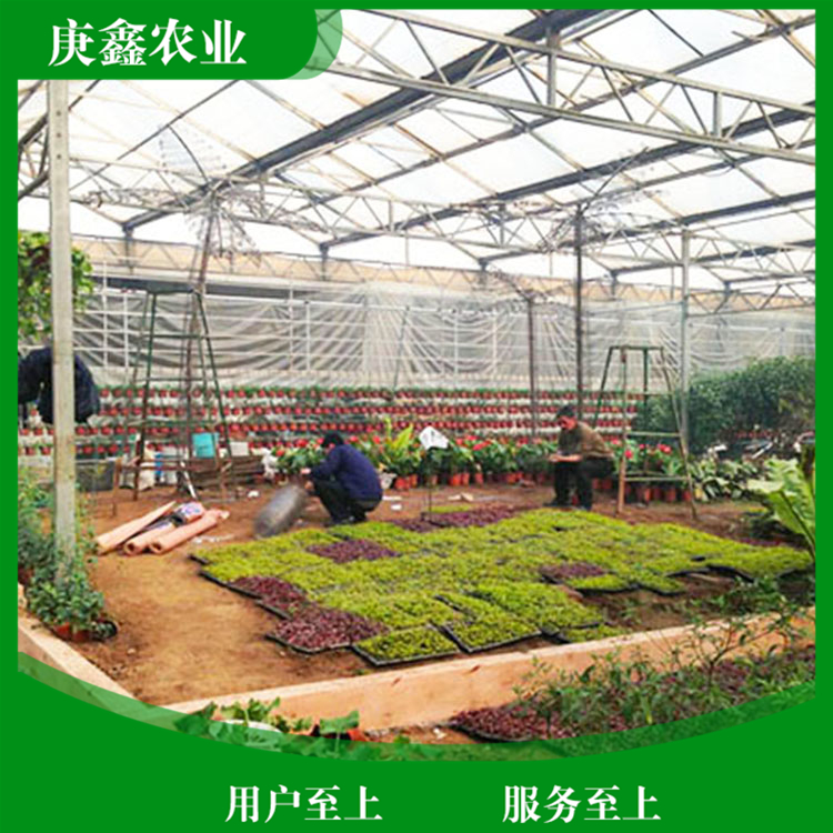 厂家安装绿色温室景观 温室景观大棚供应 厂家销售