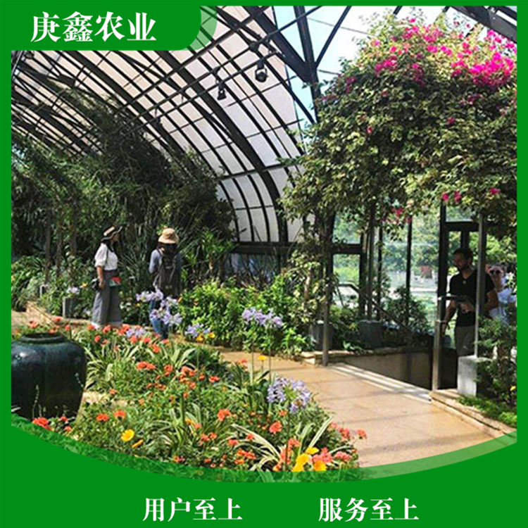 绿色温室景观销售厂家 温室绿色大棚景观植物 支持选购