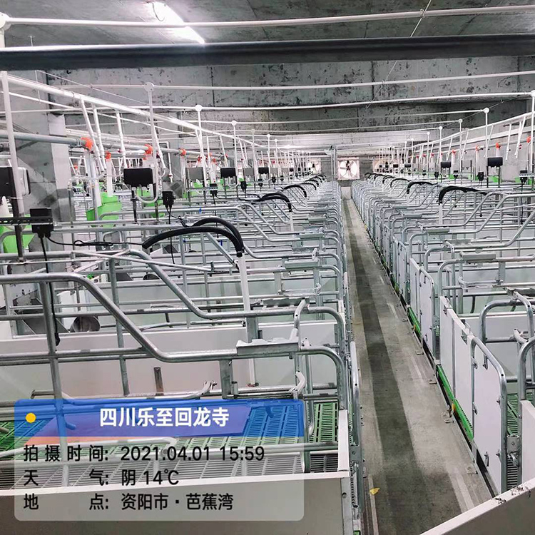 现货直供小猪仔猪电加热保温板 猪用取暖发热板 防火防水 耐腐蚀