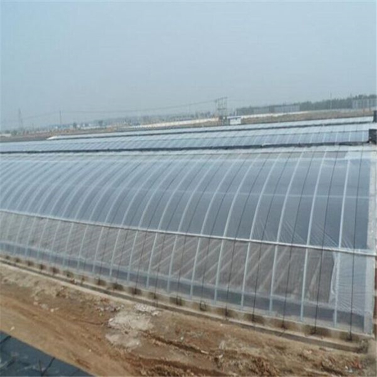 日光温室建设 草莓种植大棚 支持定制 使用寿命长