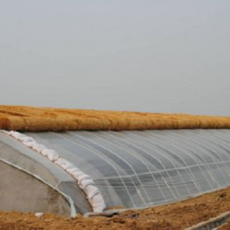 草莓采摘薄膜温室 双拱双模温室建造 日光温室施工建设