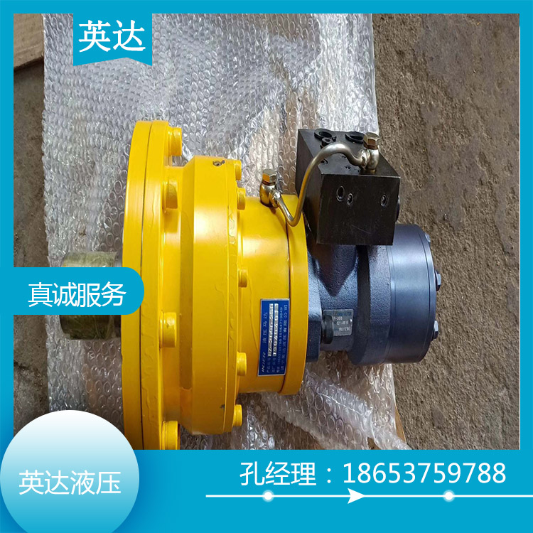 刹车制动回转马达销售 吊车回转制动马达 英达液压