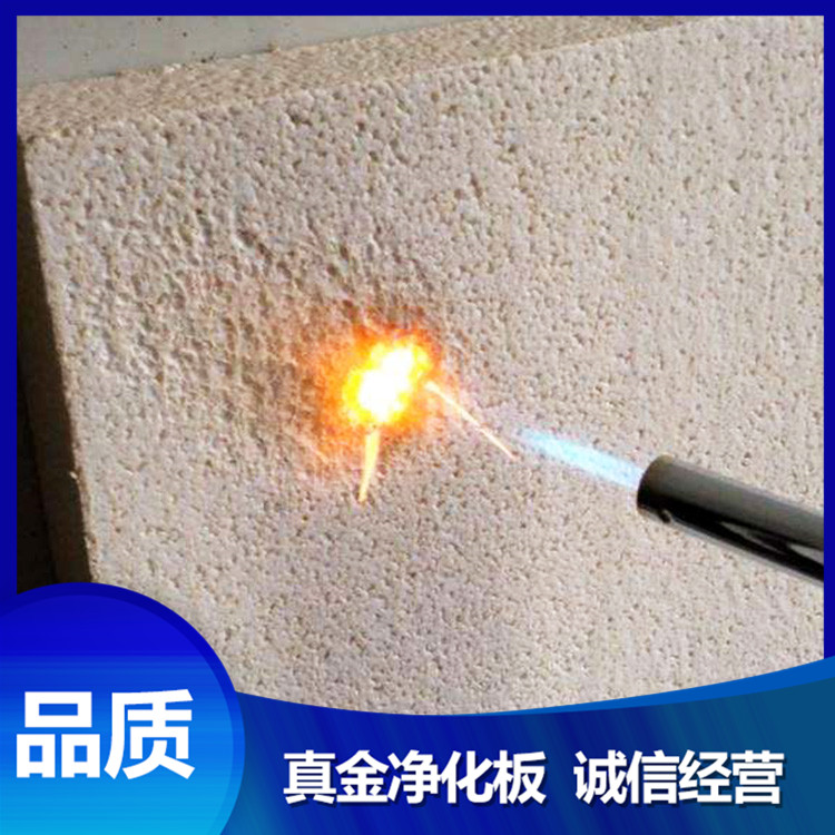 真金净化板销售 真金净化板厂家 亚奇钢结构