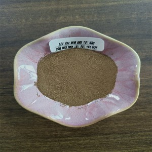 渤海湾丰年虫卵 高孵化率 鱼苗开口料 山东同盛现货供应