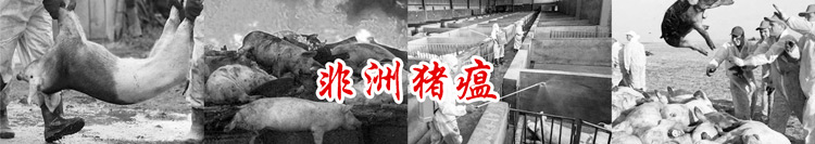 屠宰场车辆洗消中心