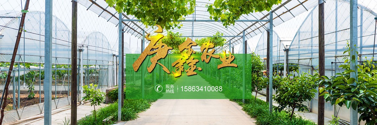 寿光市庚鑫农业设施有限公司