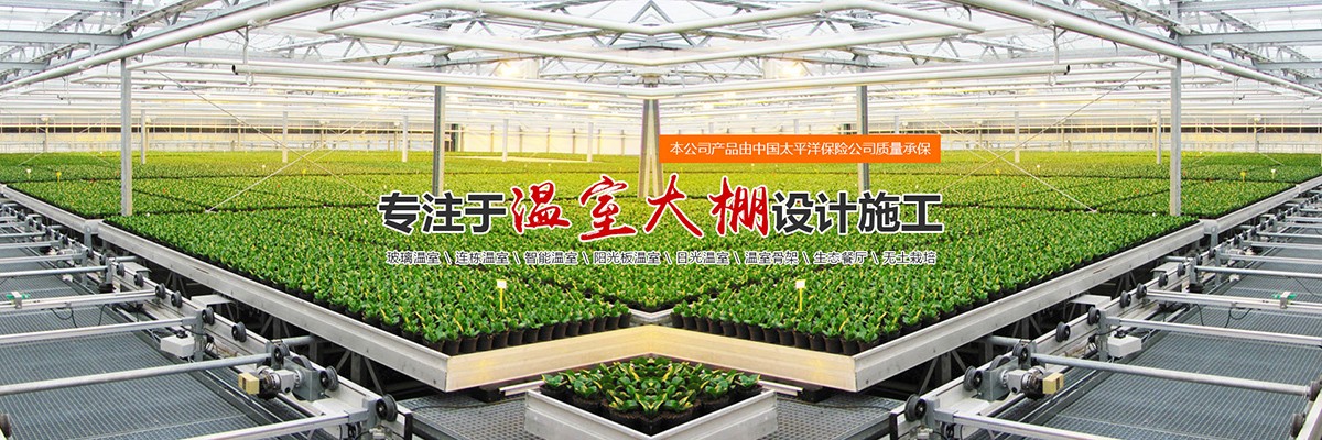 山东柏科阿姆农业科技股份有限公司